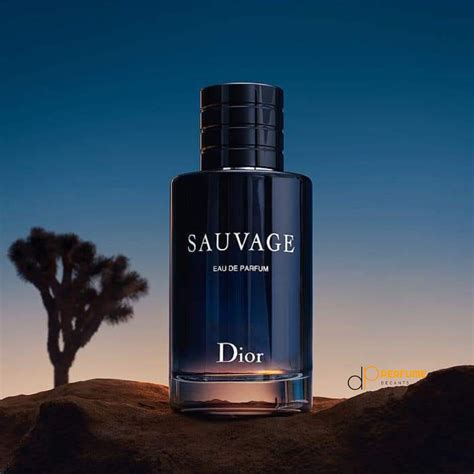 dior sauvage buy|dior sauvage decant.